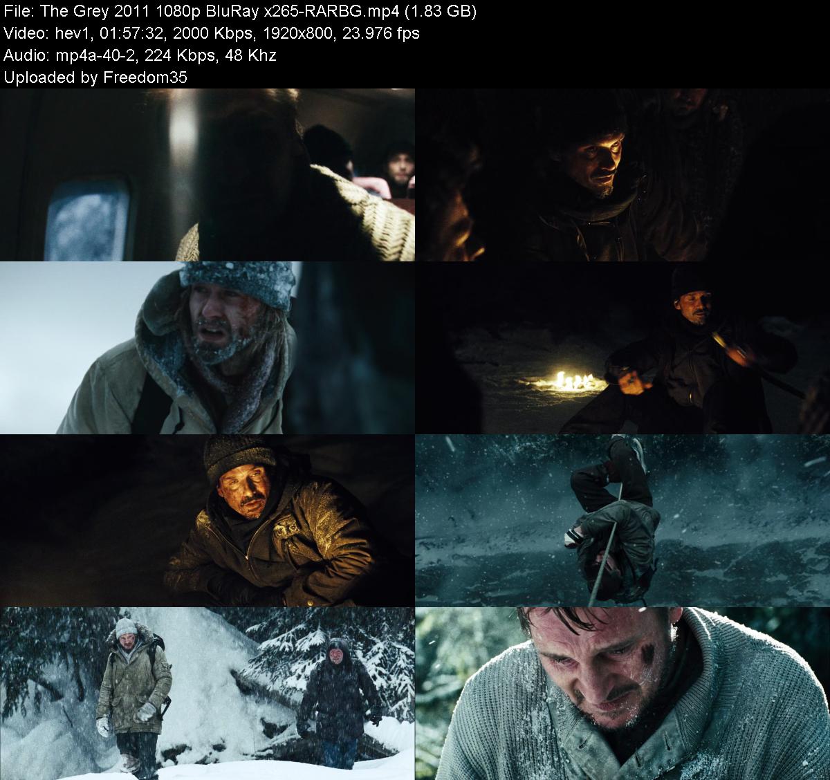 The-Grey-2011-1080p-Blu-Ray-x265-RARBG.j