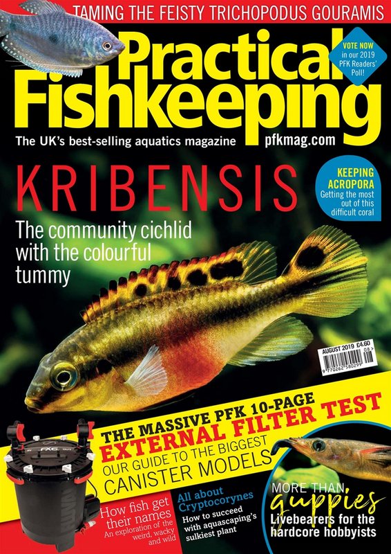 Practical-Fishkeeping-August-2019.jpg