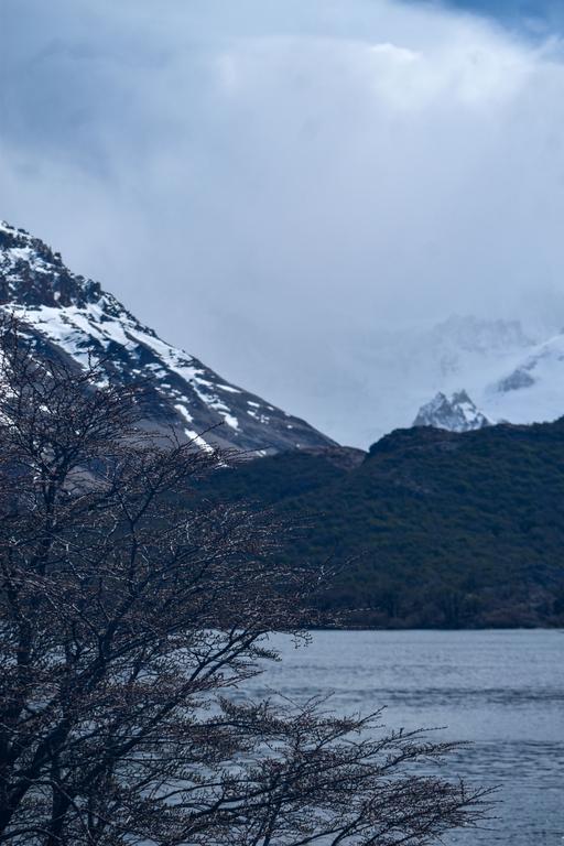 В джазе только девушки или аргентинско-бразильский калейдоскоп В джазе только девушки или аргентинско-бразильский калейдоскоп