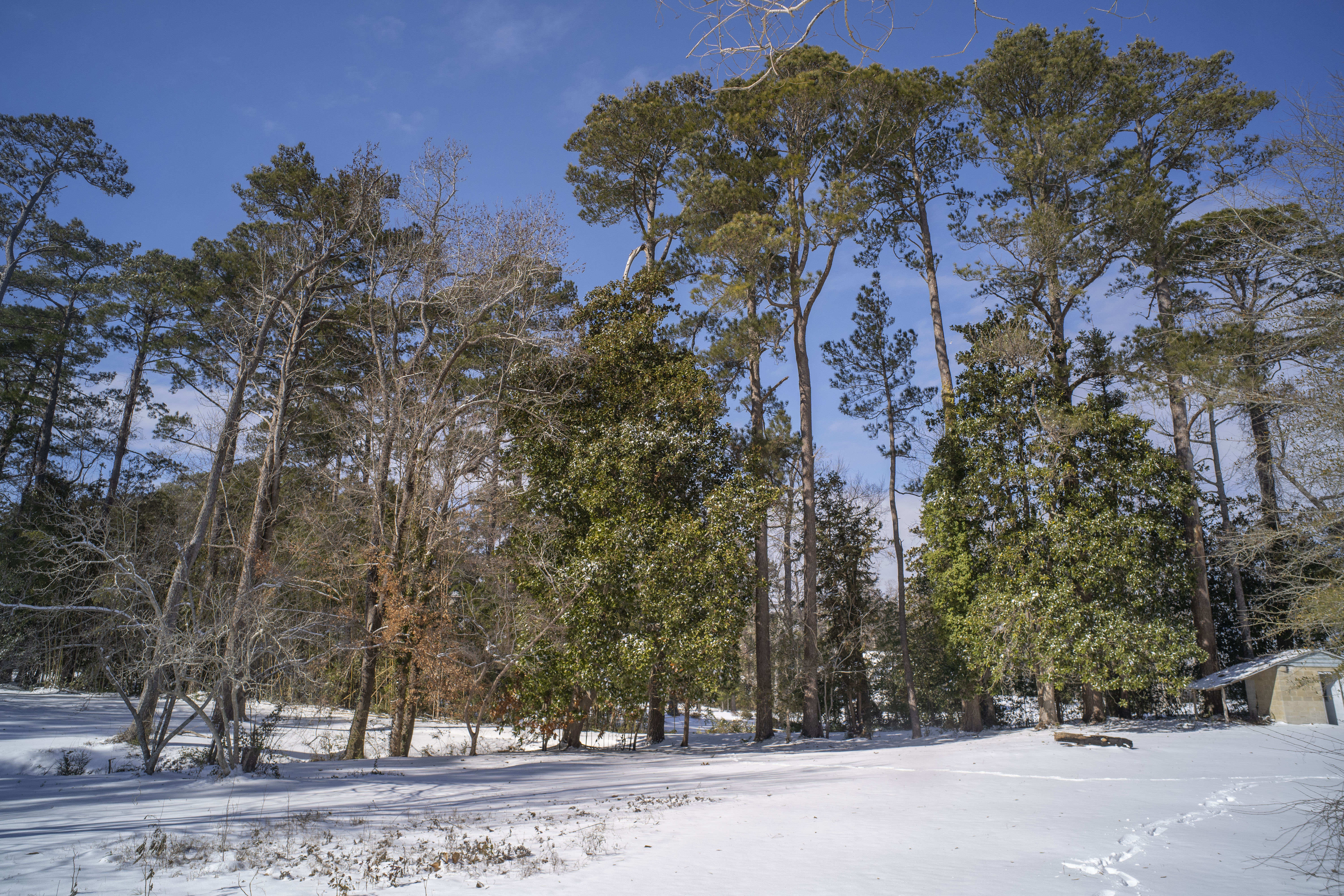 SDIM5969.jpg