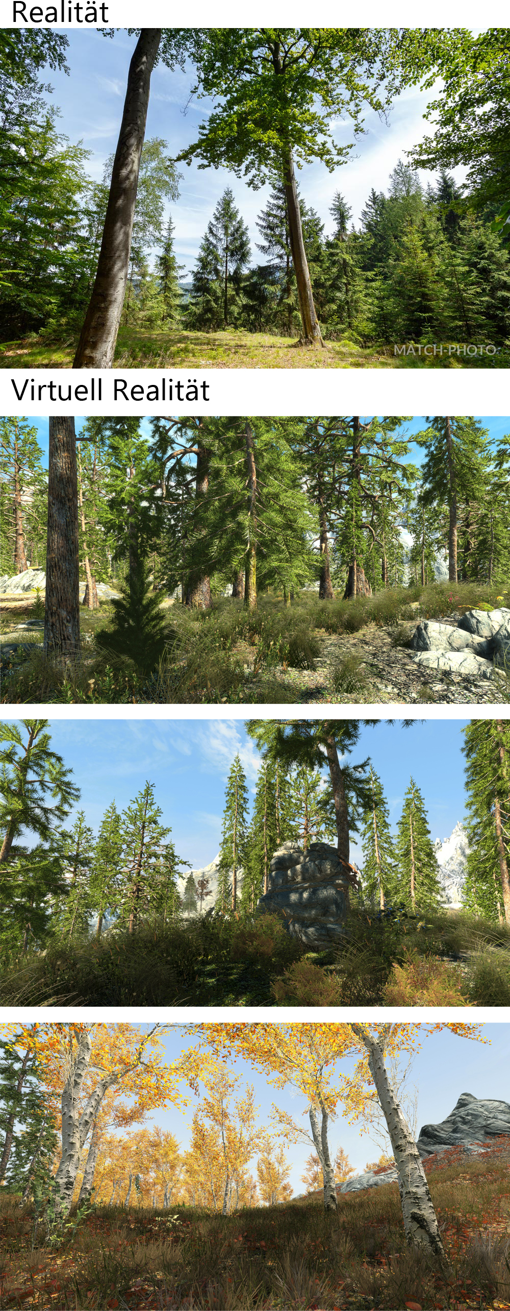 SkyrimVR.jpg