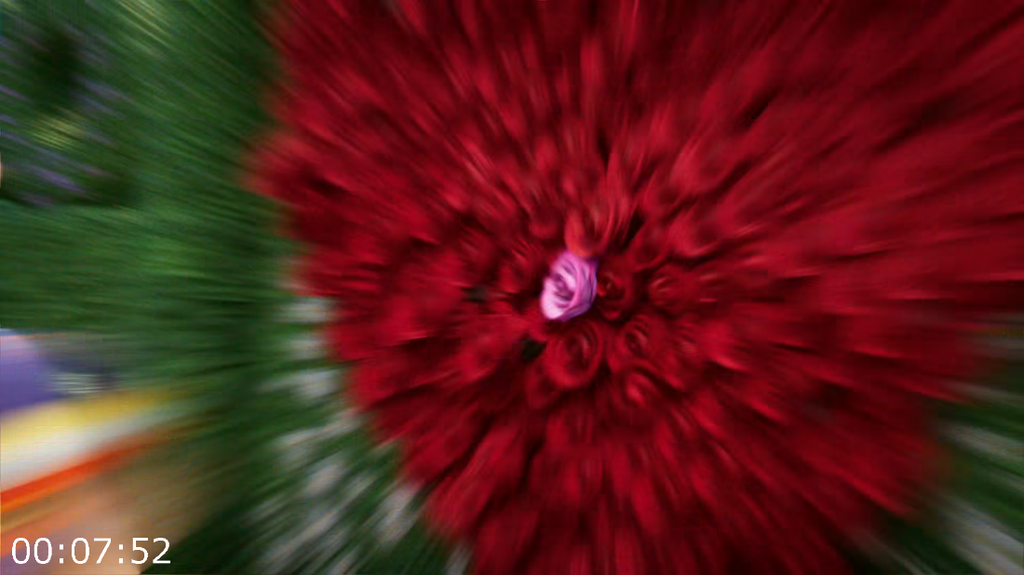 [Image: 87l8ugx7mhtp.png]