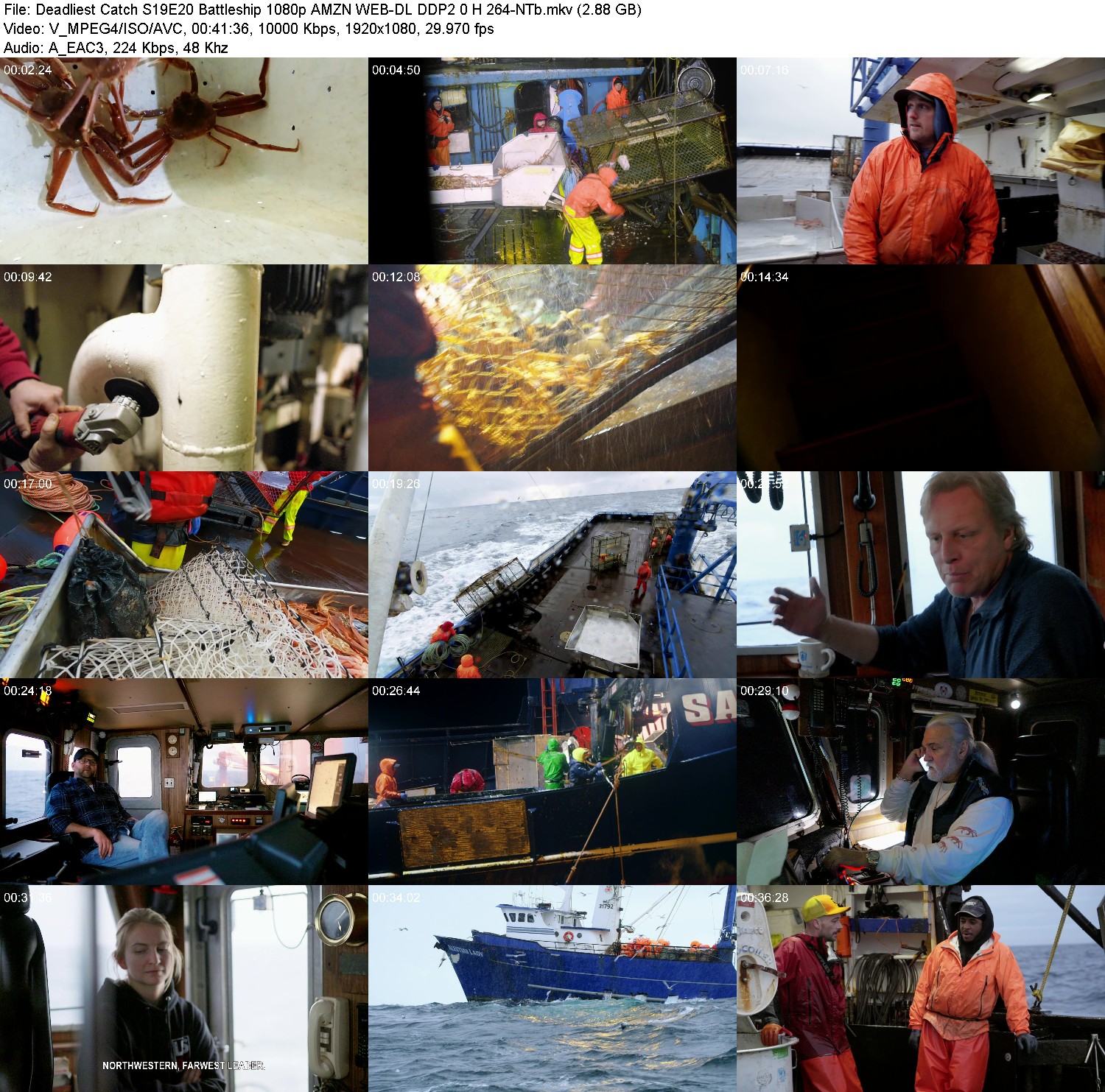 [Image: ggld42ia1ez1.jpg]