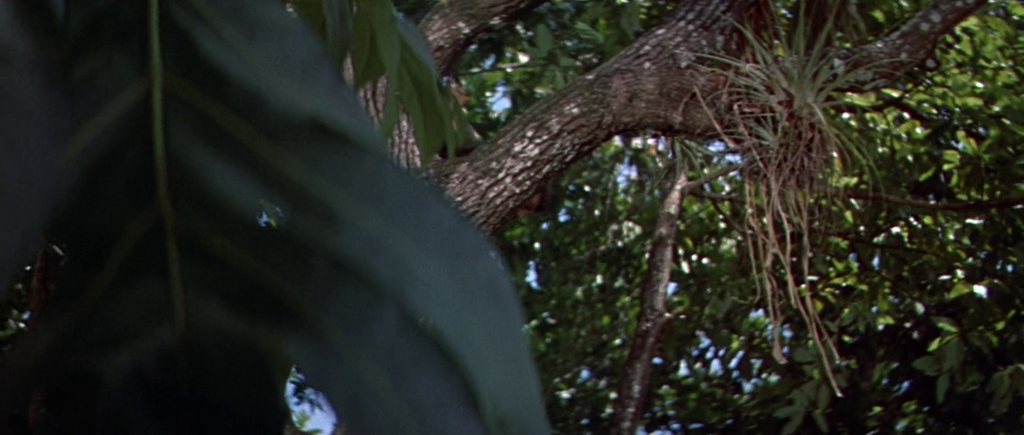 [Image: kiu05ad97qxi.png]