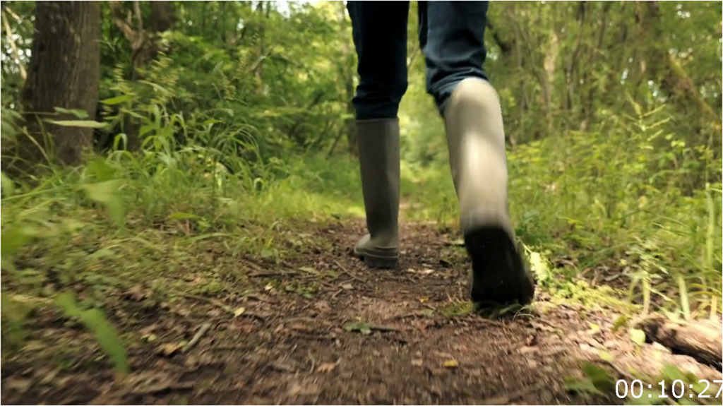 [Image: p20eky4smyc1.png]