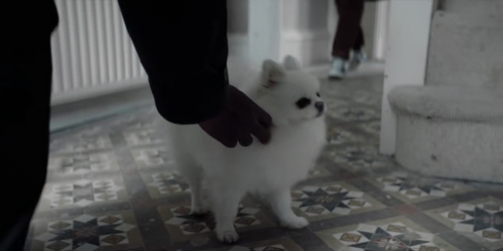 [Image: kknny890qp8e.png]