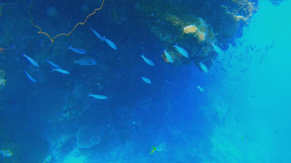 [Image: vl63myqk16ai.png]