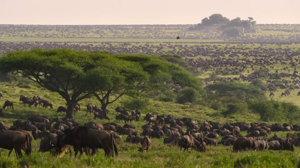 [Image: fqmk97uts86p.jpg]