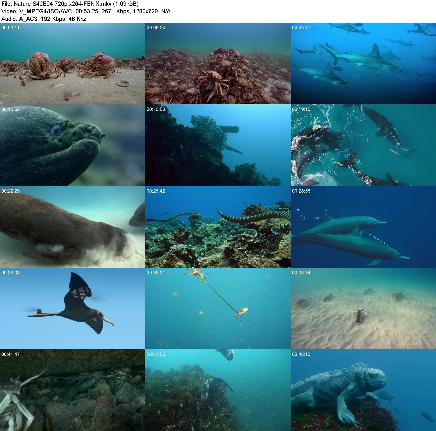 [Image: lk3ma3xlz57v.jpg]