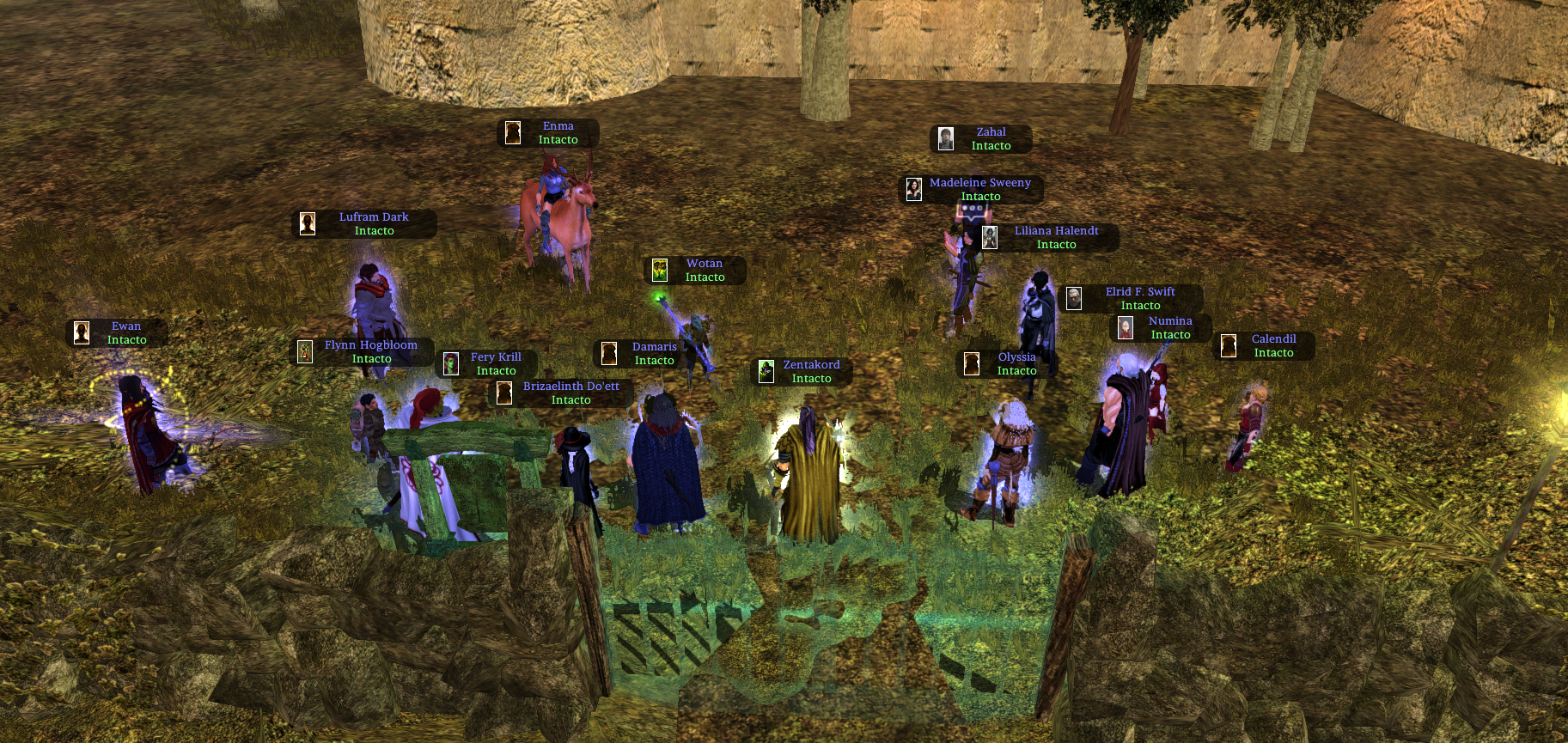 bruma1.png