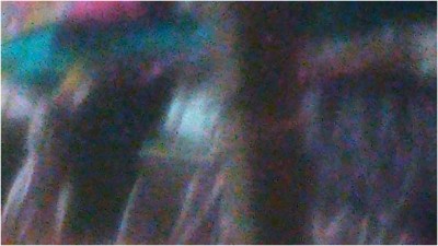 [Image: 2026051302111372146.jpg]