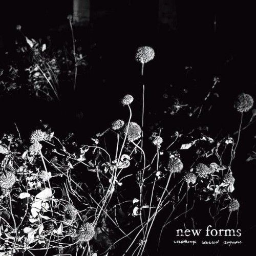 New Forms - Nothing's Sacred Anymore (2026) MP3