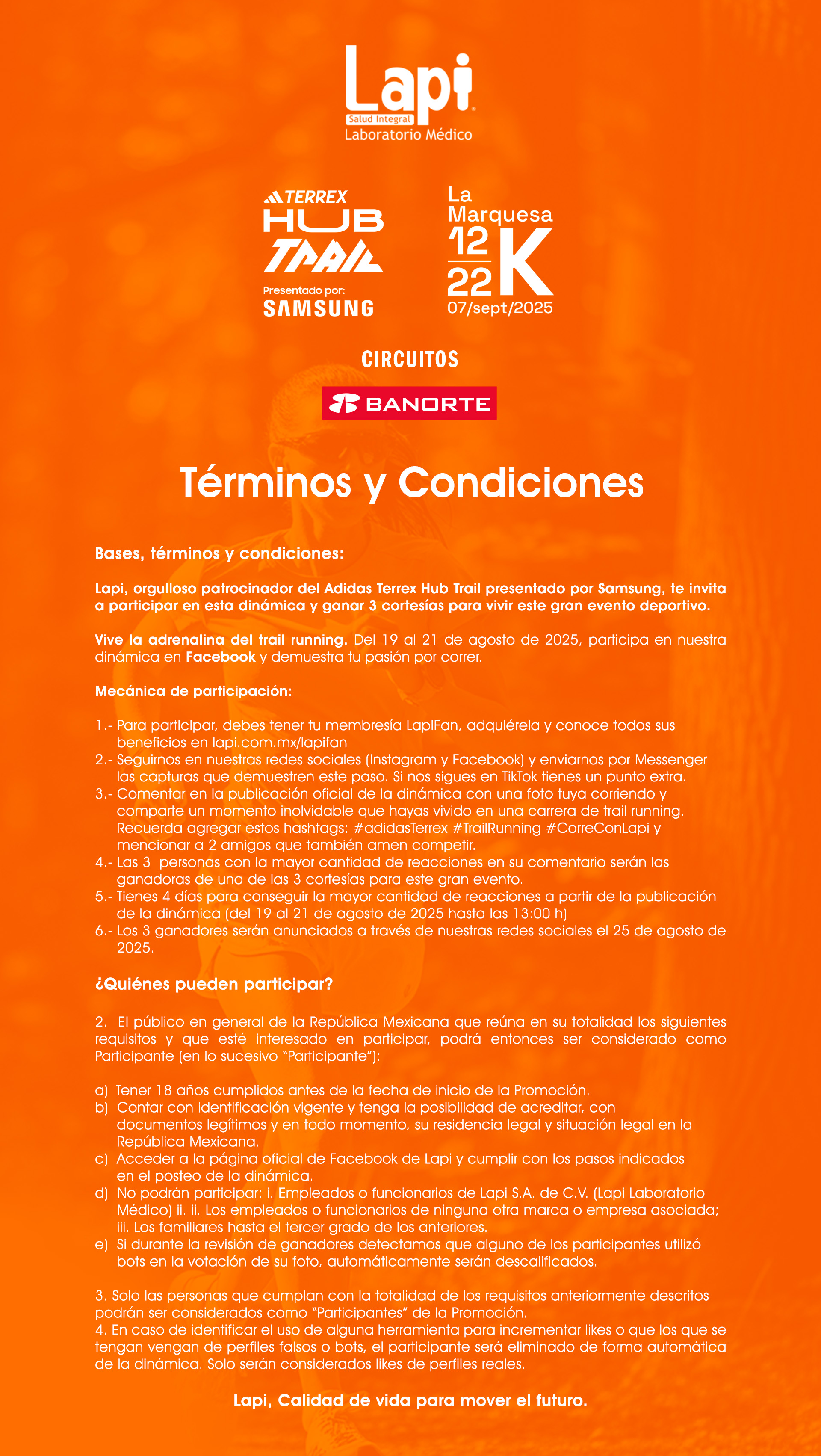 Descripción de la imagen