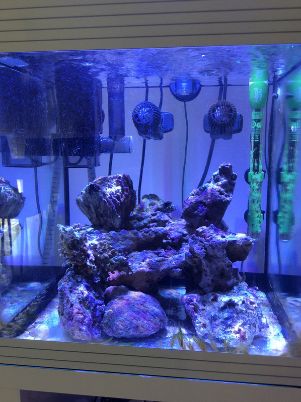 9BA4669E-A90F-4126-AE9E-A011C7121EB2