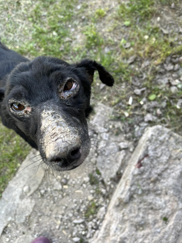 IMG-ad7ba6d3dbea29e0fa4b402cd1a2042b-V