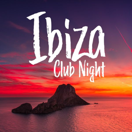 Various Artists - Ibiza Club Night (2020)