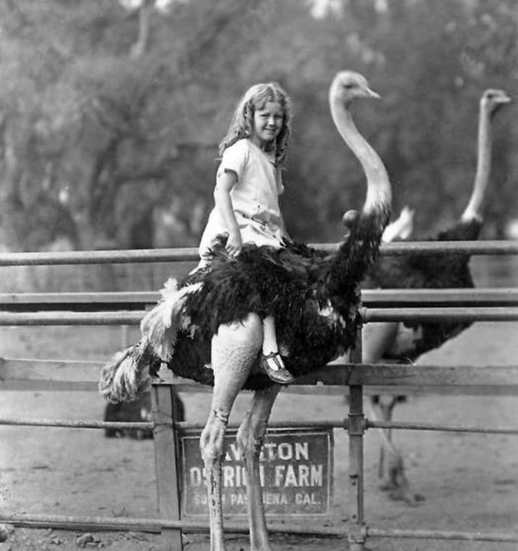 Screenshot_20230211_005914_Chrome