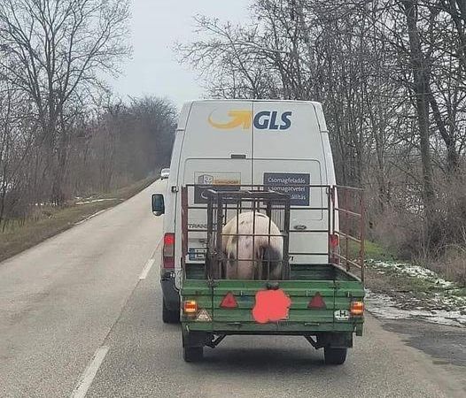https://i.postimg.cc/Yq0rRGJN/gls-szallitas.jpg