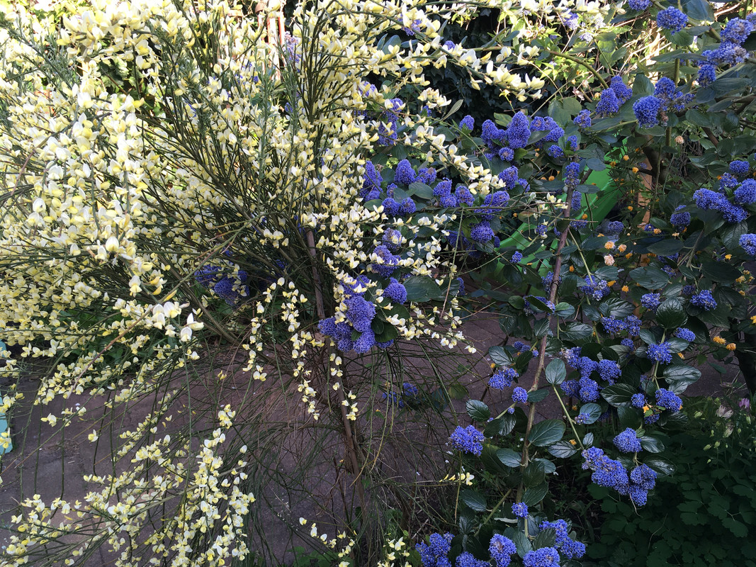 A64A575B-795C-45B3-BF37-68AA7B2B758A