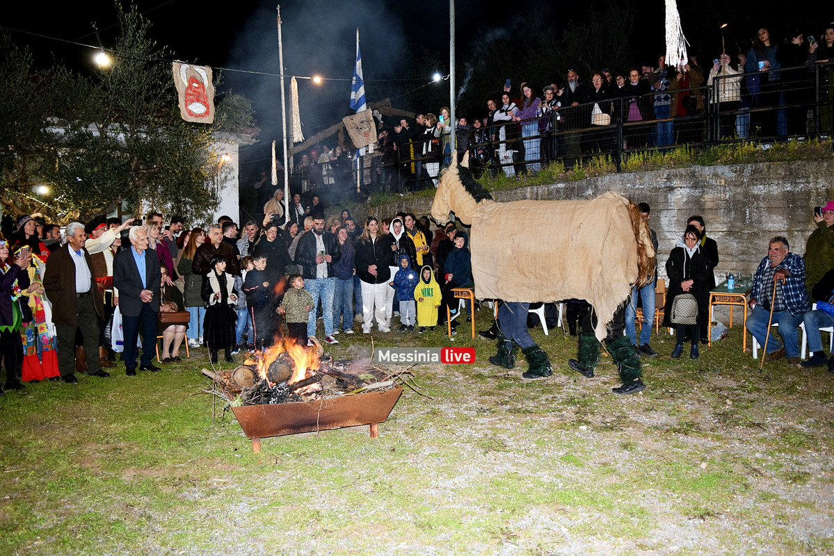 ελαιοχωριDSC_0644