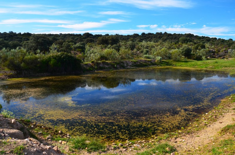 CANCHO DE VALDECASTILLO-14-6-2023 - Extremadura y sus pueblos -2010-2023 (7)