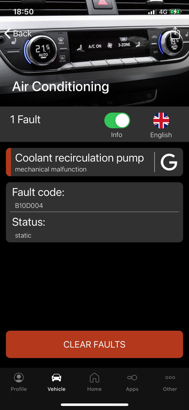 121055741_4005044849512844_6603289692188578737_o