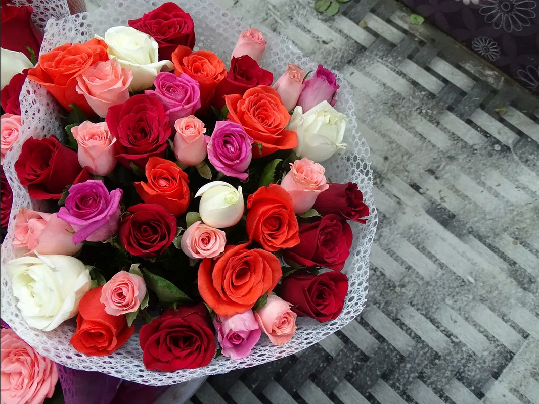 Este es el significado de regalar rosas