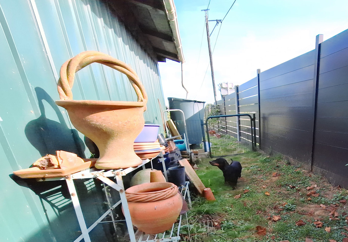 [Image: 20240821-181501.jpg]