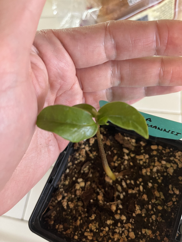 7490EA02-33E3-4544-9212-64002F01A697