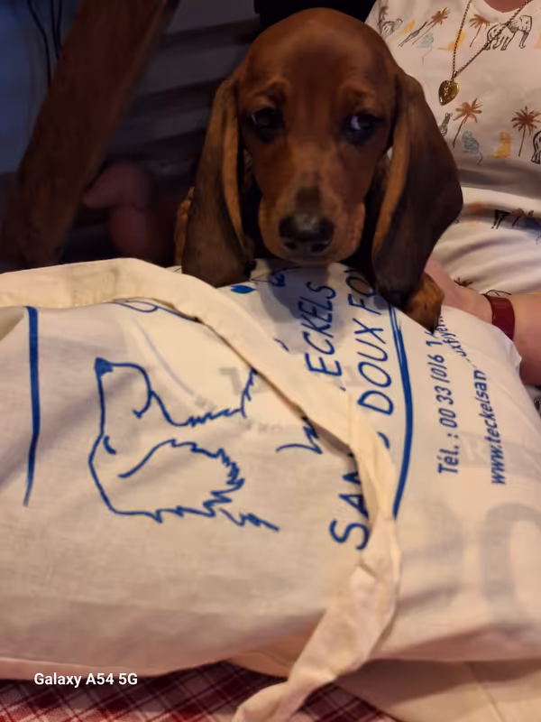 [Image: 20241006-185701.avif]