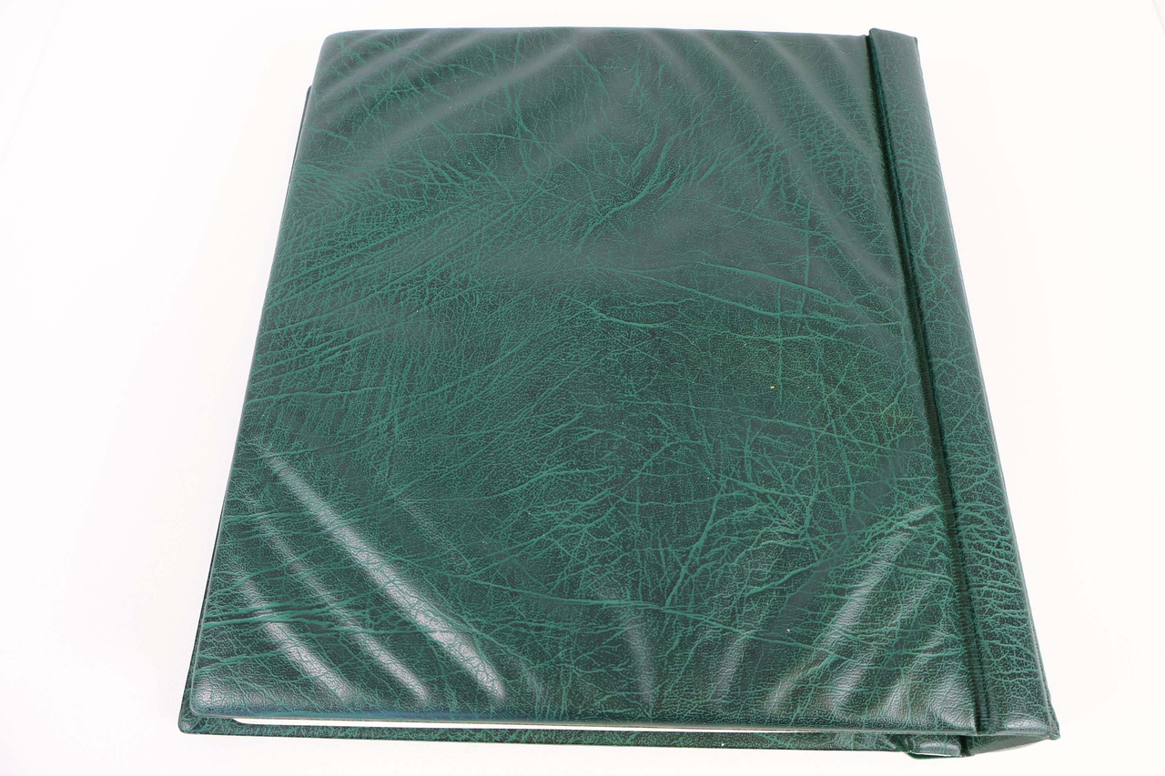 IMG 4658