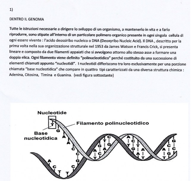 Dentro il genoma p. 1
