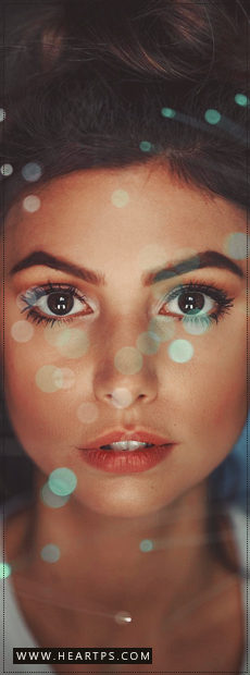 ���� ���� ������ �� ���� ������