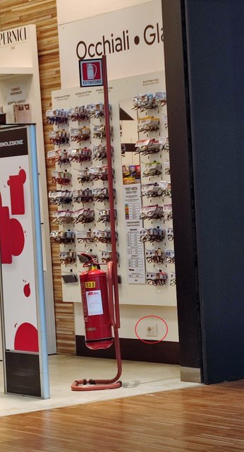 Milán, Castello Sforzesco, Pinacoteca di Brera y San Ambrosio - Milán-Bolonia-Rávena-Milán en Junio 2023 (56)