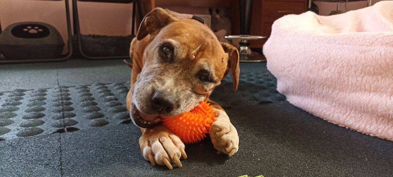 5A067F2C-2831-40FB-BE01-54BD9763D20A