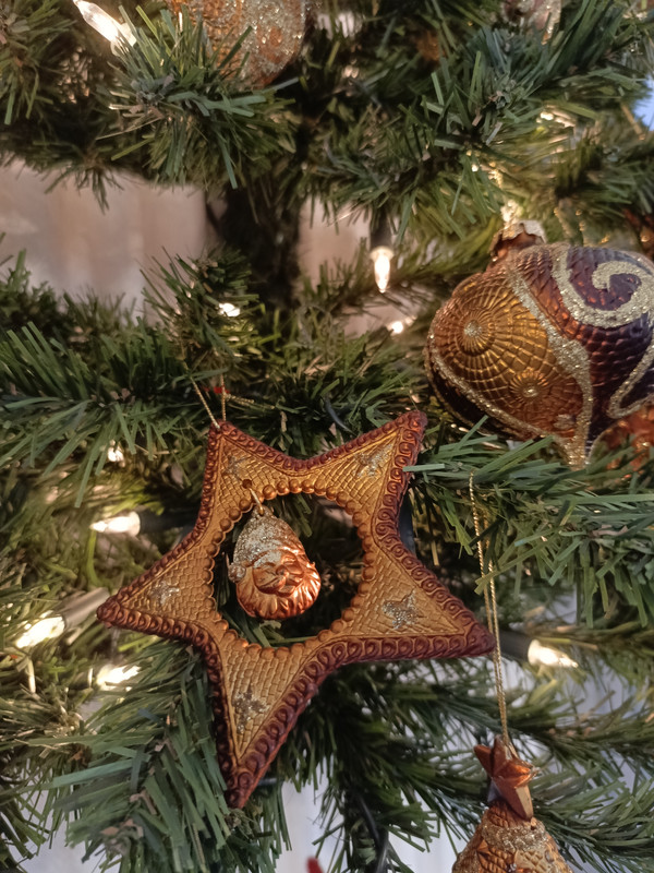 IMG_20241222_131350_122