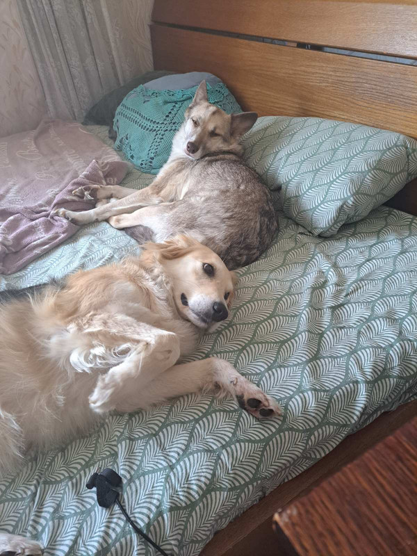 IMG-4da674c2c51ab71c5154cd85c0bc15b5-V