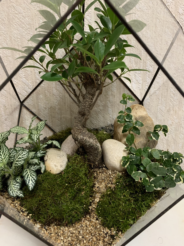 EB929BC9-5EC6-4FDA-8D45-61369AEAE3B0