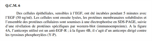 poly UE8 complet 2019-20 - Google Chrome_4