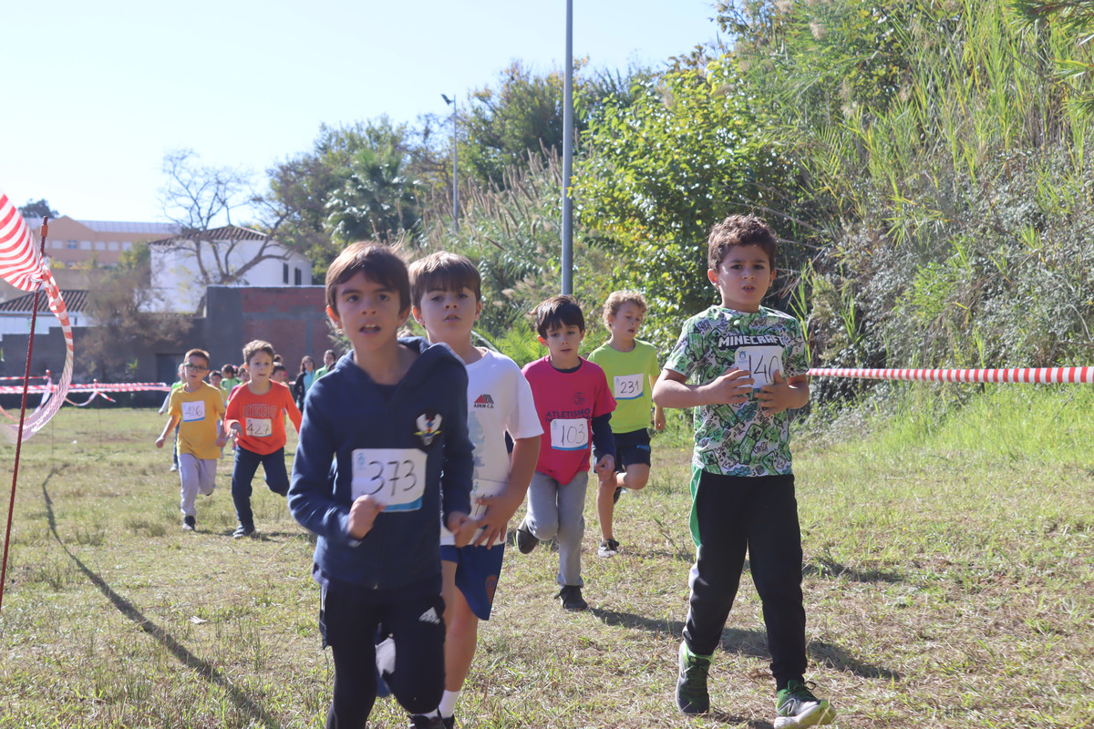 IMG-0601