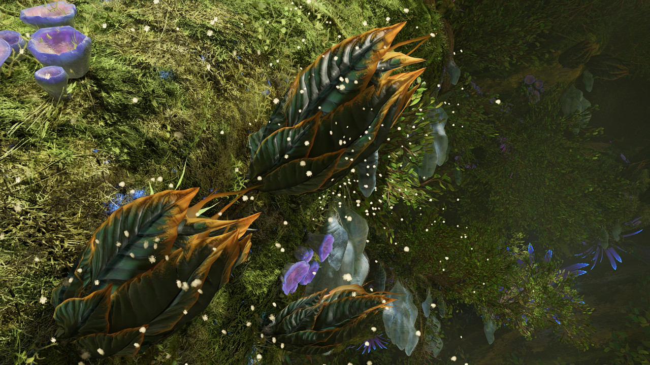 afop 2026 01 08 04 18 06 982