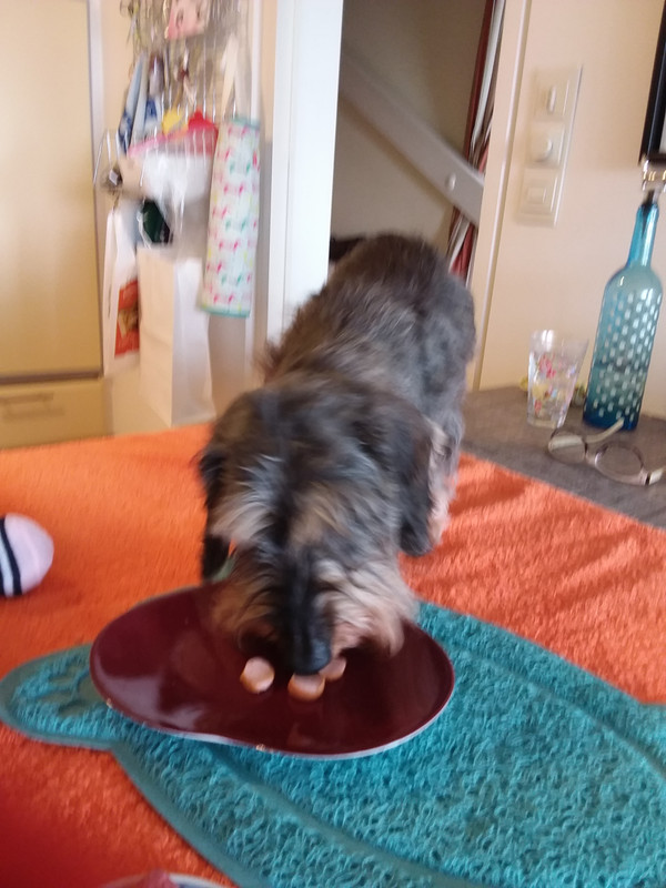 [Image: 20240312-142930.jpg]