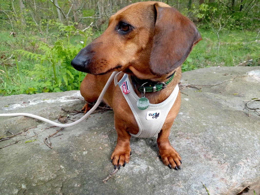 [Image: IMG-20240410-203718.jpg]