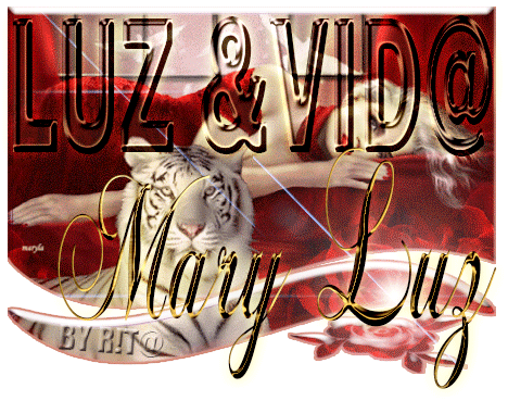 luzevida55.gif
