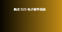 购买 B2B 电子邮件线索