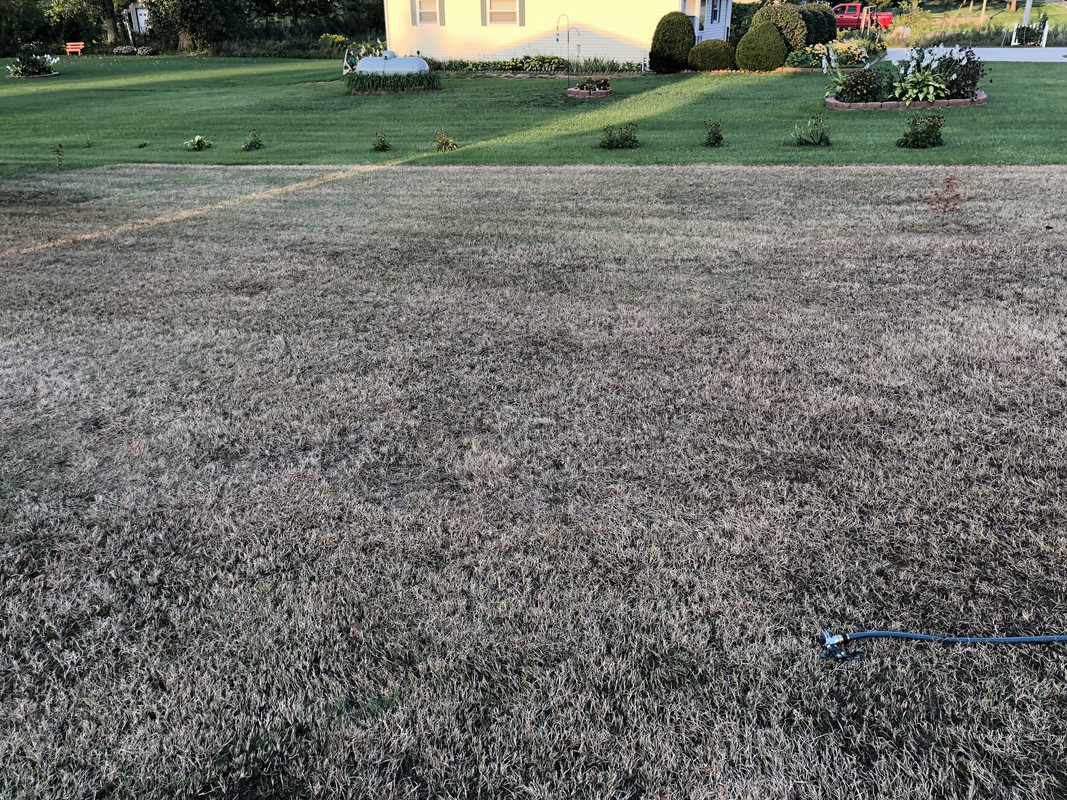 94C4D591-3E0D-4DF7-9806-80EDAD446DAA