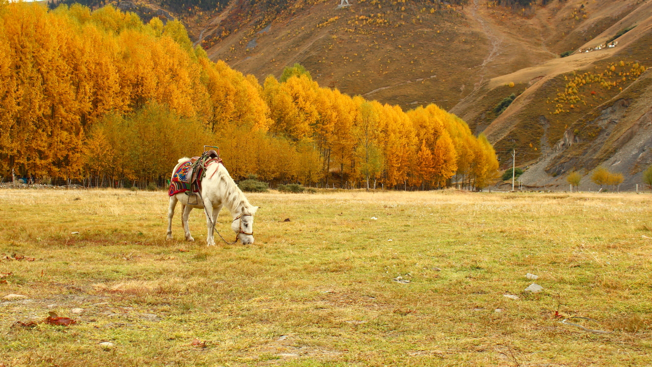 Photo-paradise-XIN-DU-QIAO-panoramio-12