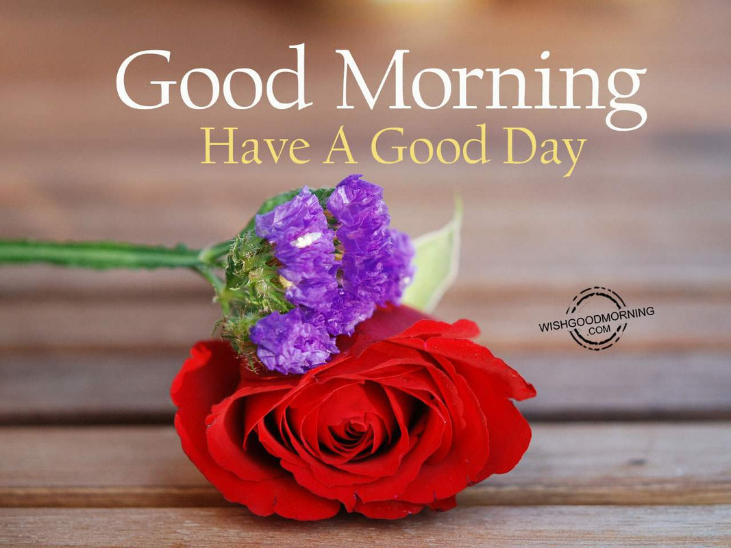 Have-A-Good-Day-Good-Morning-2