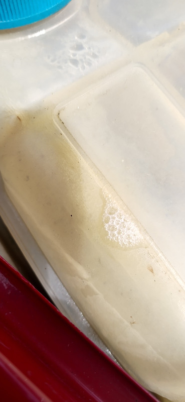 IMG_20220712_155105_HDR