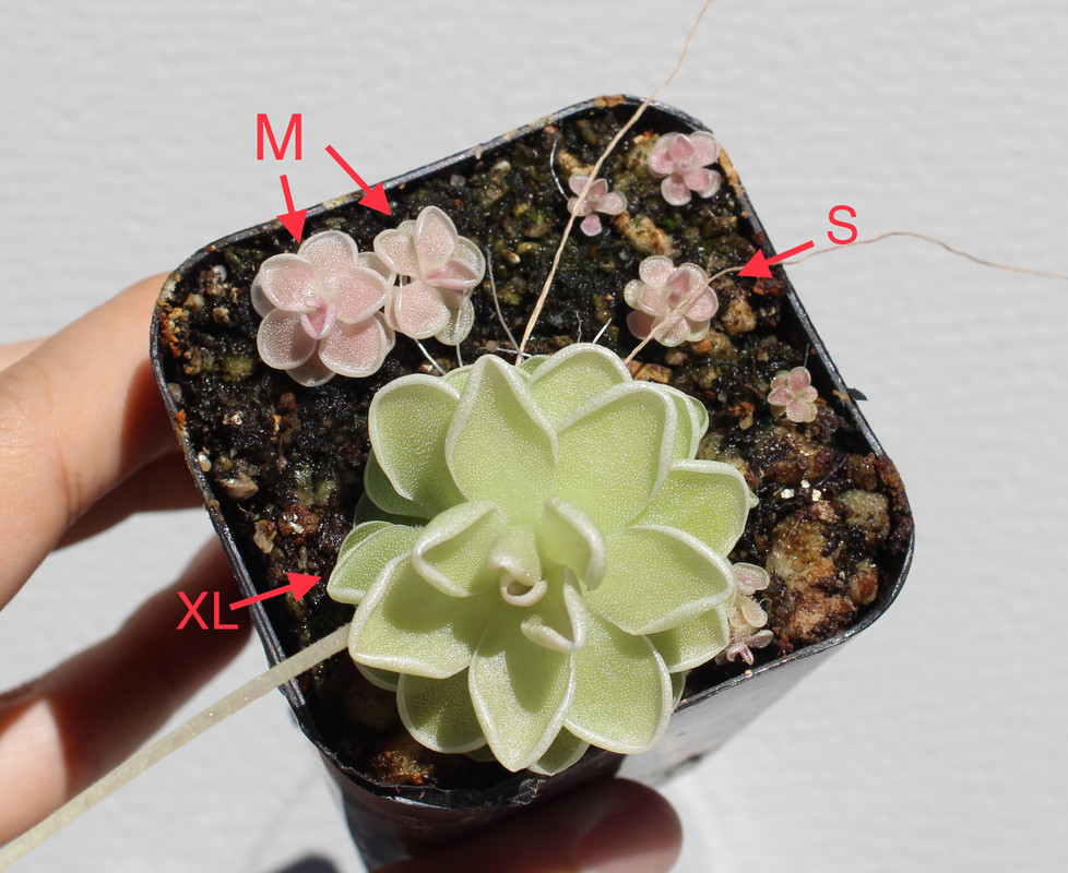 5EFD075A-2D9C-4837-89DB-B8A6A930A4A4